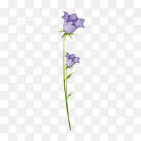 鲜花图案