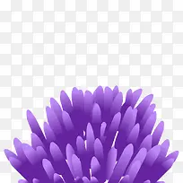 紫色海洋植物