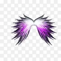 炫彩紫色翅膀