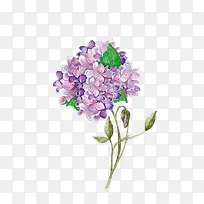 手绘紫色花