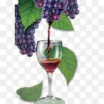 新鲜葡萄葡萄酒自然