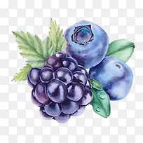 葡萄蓝莓水果