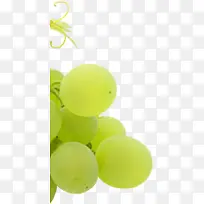 绿色新鲜葡萄水果圆润