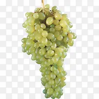 一串葡萄绿葡萄水果