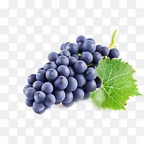 紫色高清新鲜葡萄