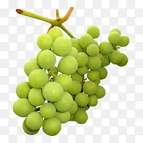 新鲜绿色葡萄