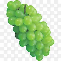 绿色葡萄高清摄影