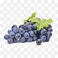 紫色高清葡萄水果
