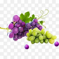 青葡萄紫色葡萄水果新鲜