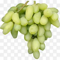 成熟特产葡萄水果