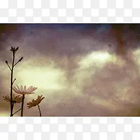 复古鲜花背景