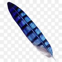 蓝色线条羽毛