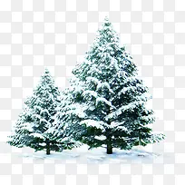 冬季雪树气氛素材