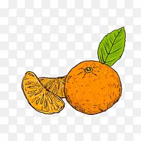 彩色手绘橘子下载