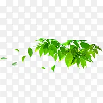 绿色清新树叶漂浮创意