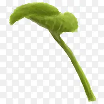 绿色清新树叶植物朦胧