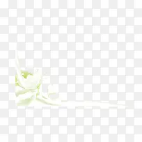 牛奶