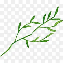 手绘清新树叶植物