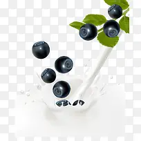 蓝莓牛奶饮料饮品水果
