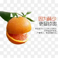 新鲜水果橙子宣传广告