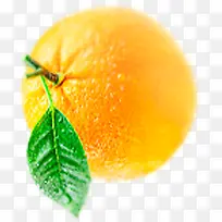 黄色橙子水果素材