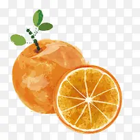 矢量水彩橙子