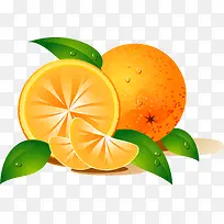 手绘橙子水果新鲜