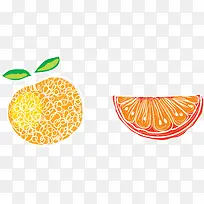 手绘可爱风格西柚和橙子