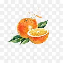 矢量手绘水彩水果橙子