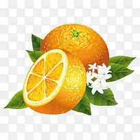 高清橙子图案