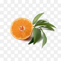 橙子