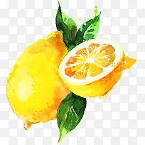 黄色橙子水彩水果