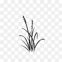 绘画植物 小草  黑白
