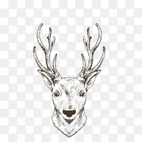 手绘线条绘画动物麋鹿