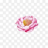 粉色的花