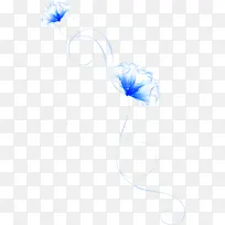 手绘蓝色透明花朵图案