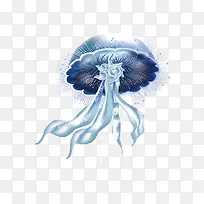 矢量海姆