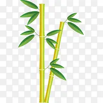 竹子竹叶