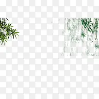 绿色清新垂挂竹子柳树