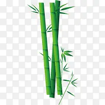 绿色竹子竹叶竹筒装饰