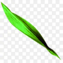 绿色清新手绘竹叶风光设计