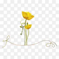 花蕾和迎春花黄色花朵
