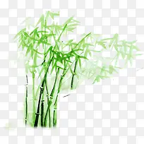 嫩绿色手绘竹叶装饰