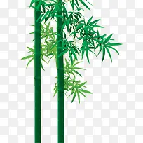 绿色竹叶竹子海报设计