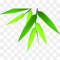 竹叶绿叶装饰端午节