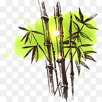矢量光斑与竹子
