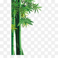 竹子绿色竹子竹叶装饰