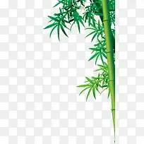 绿色清新竹子装饰图案