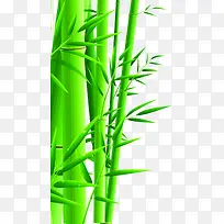 绿色卡通艺术手绘竹子