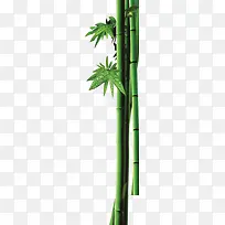 竹子绿叶端午节装饰图片